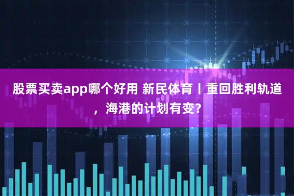 股票买卖app哪个好用 新民体育丨重回胜利轨道，海港的计划有变？