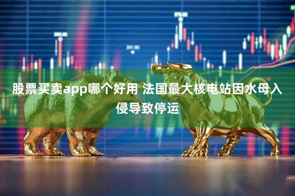 股票买卖app哪个好用 法国最大核电站因水母入侵导致停运