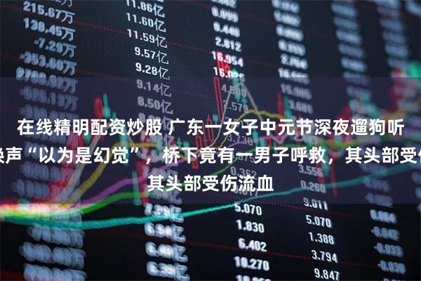 在线精明配资炒股 广东一女子中元节深夜遛狗听到呼唤声“以为是幻觉”，桥下竟有一男子呼救，其头部受伤流血